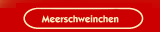  Meerschweinchen